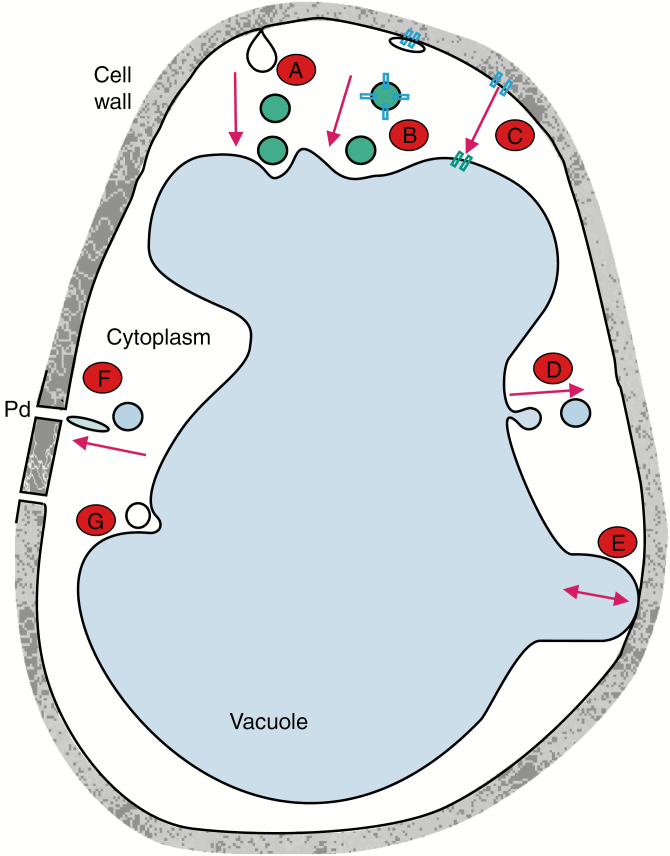 Fig. 3.