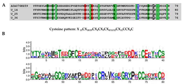 Figure 10