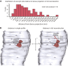 Figure 2—figure supplement 1.