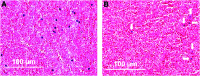 <b>FIG. 3.</b>