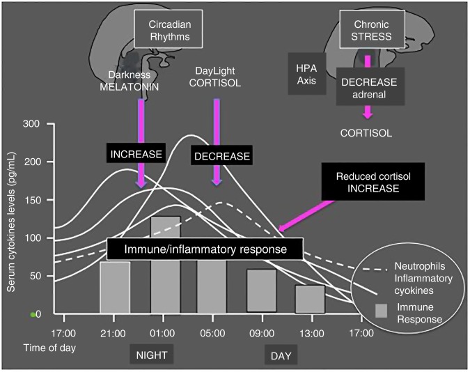 Figure 3