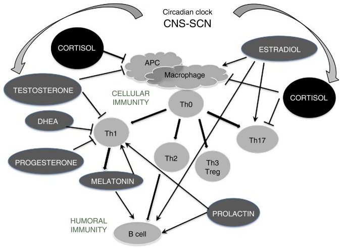 Figure 2