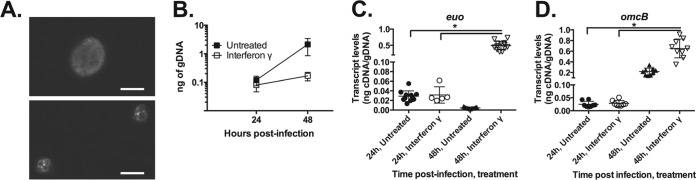 FIG 1