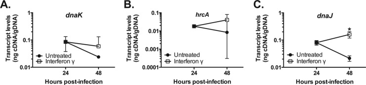 FIG 4