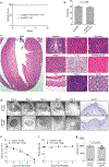 Extended Data Fig. 9.