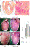 Extended Data Fig. 1.