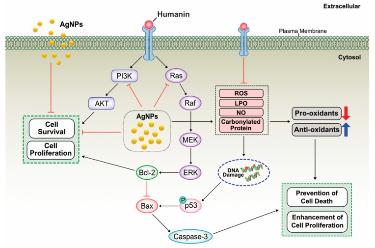 Figure 13