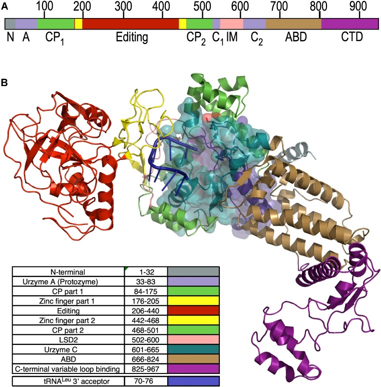 Figure 1.