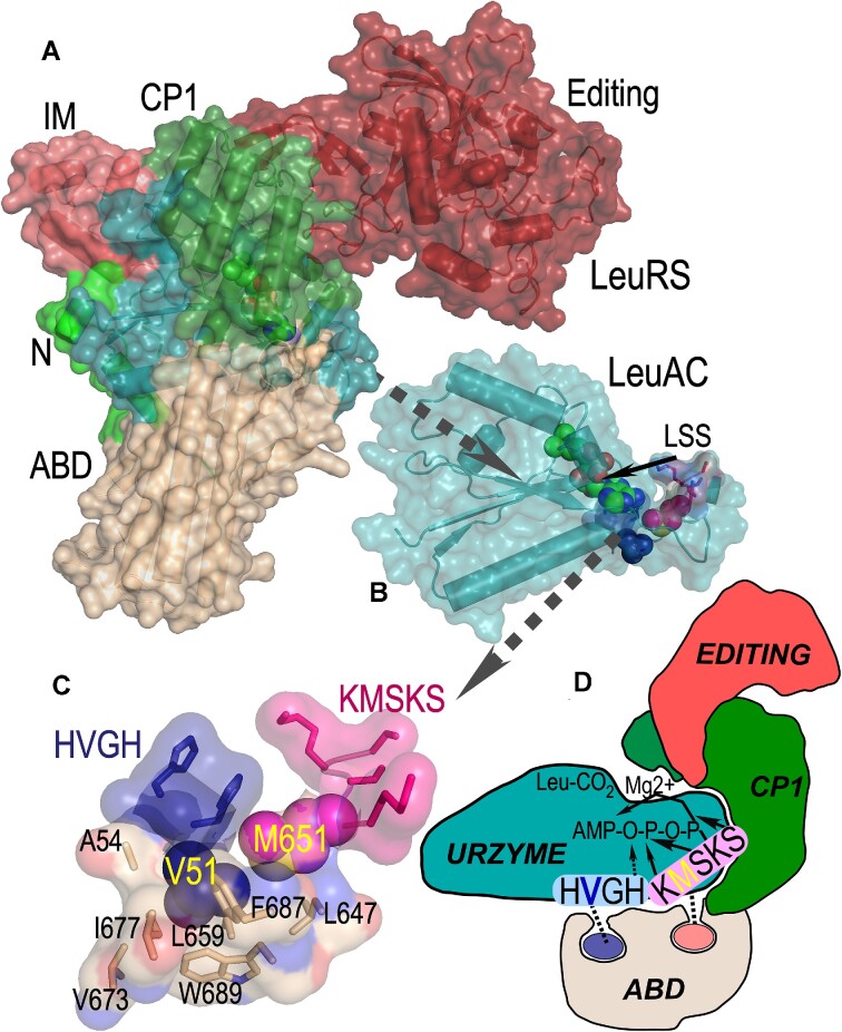 Figure 7.