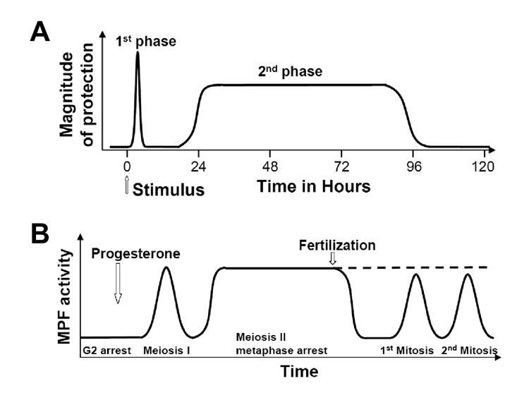 Fig.1