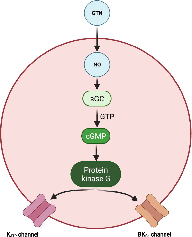 Fig. 2