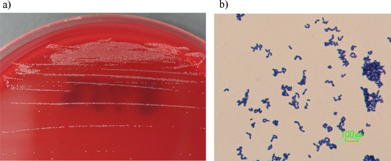 Fig. 1