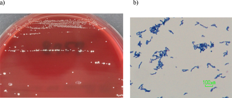 Fig. 2