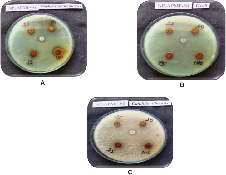 Fig. 9