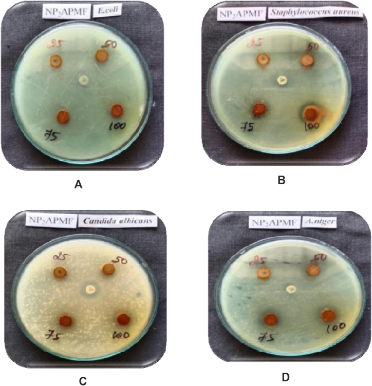 Fig. 8