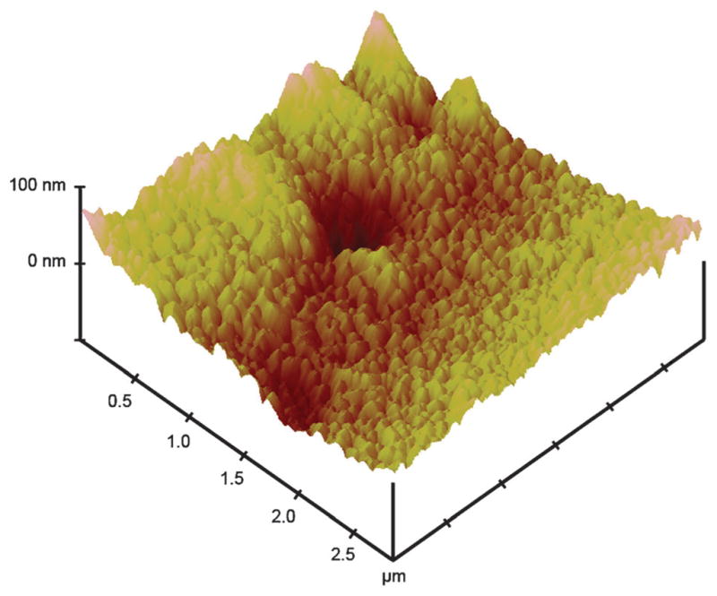 Fig. 3