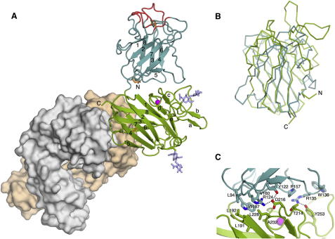 Figure 3