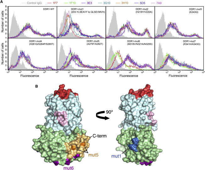 Figure 6