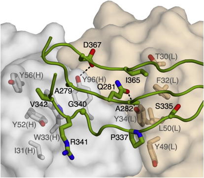 Figure 5