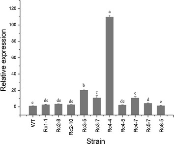 Fig. 3