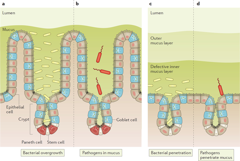 Figure 5 |