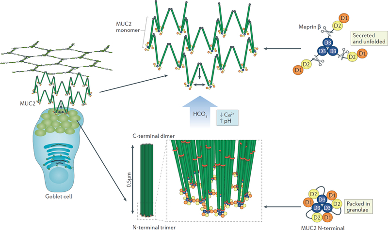 Figure 3 |