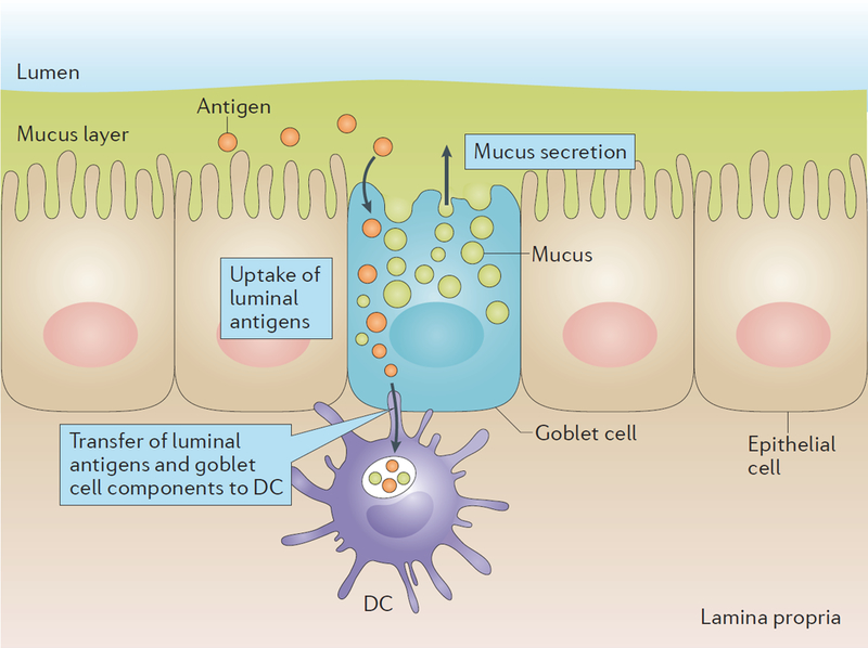 Figure 4 |