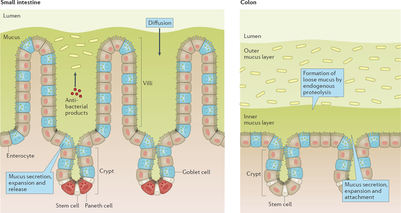 Figure 1 |