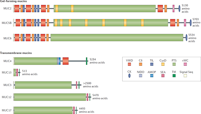 Figure 2 |