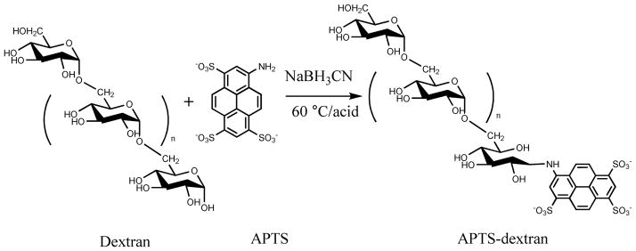 Scheme I