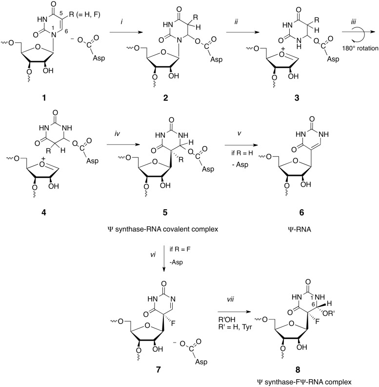 Scheme 4.