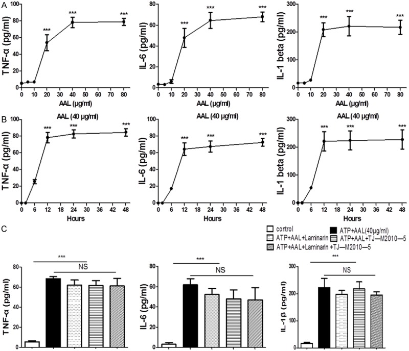 AAL exacerbates pro-inflammatory response in macrophages by regulating ...