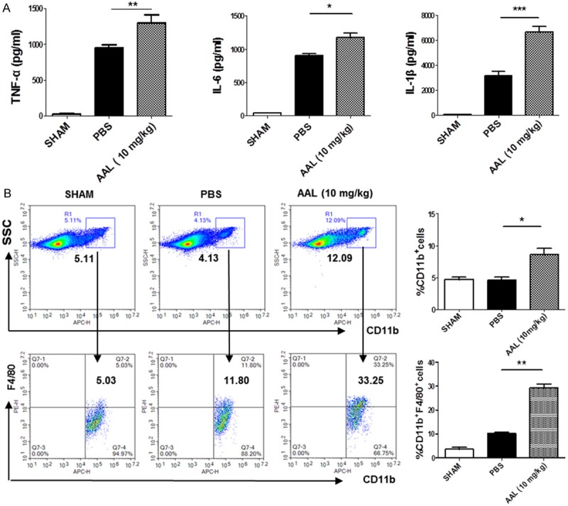 AAL exacerbates pro-inflammatory response in macrophages by regulating ...