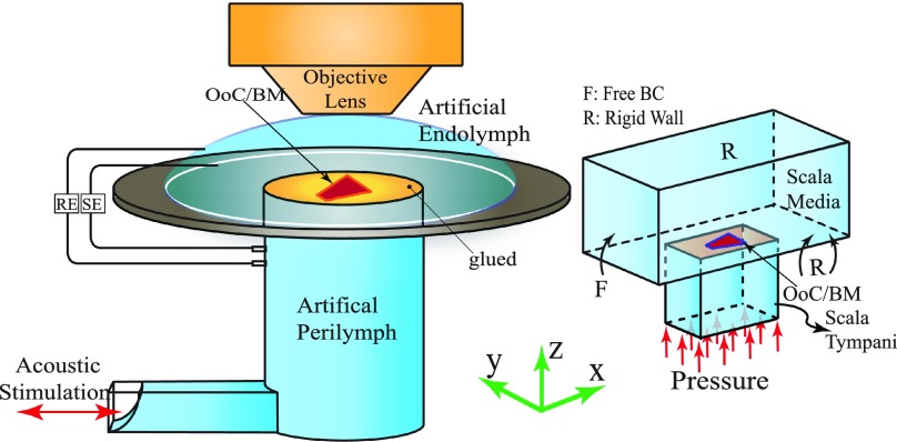 FIG. 2.