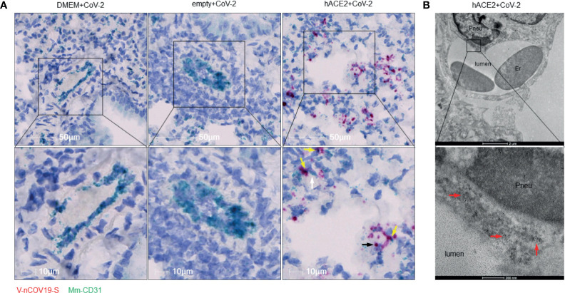 Figure 2