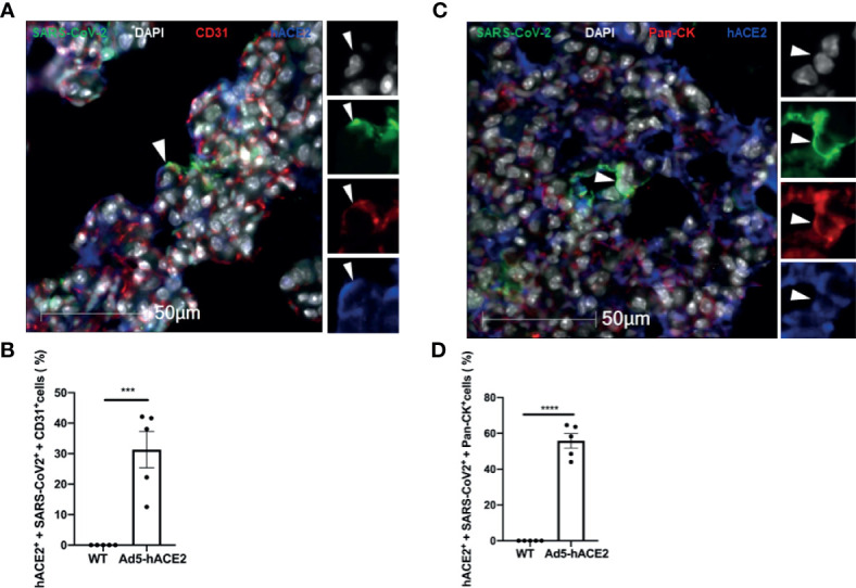 Figure 6