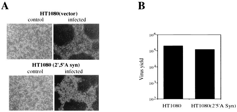 FIG. 4