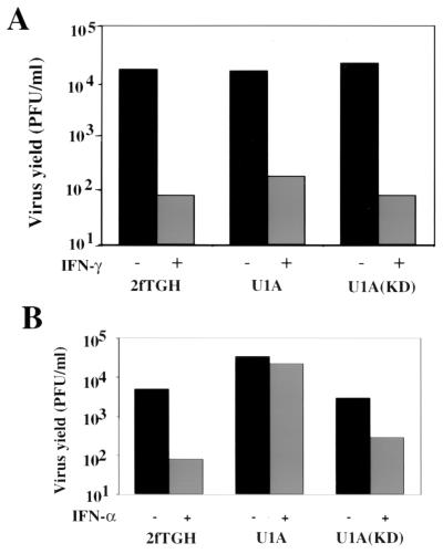 FIG. 6