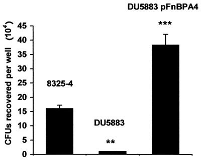 FIG. 1.