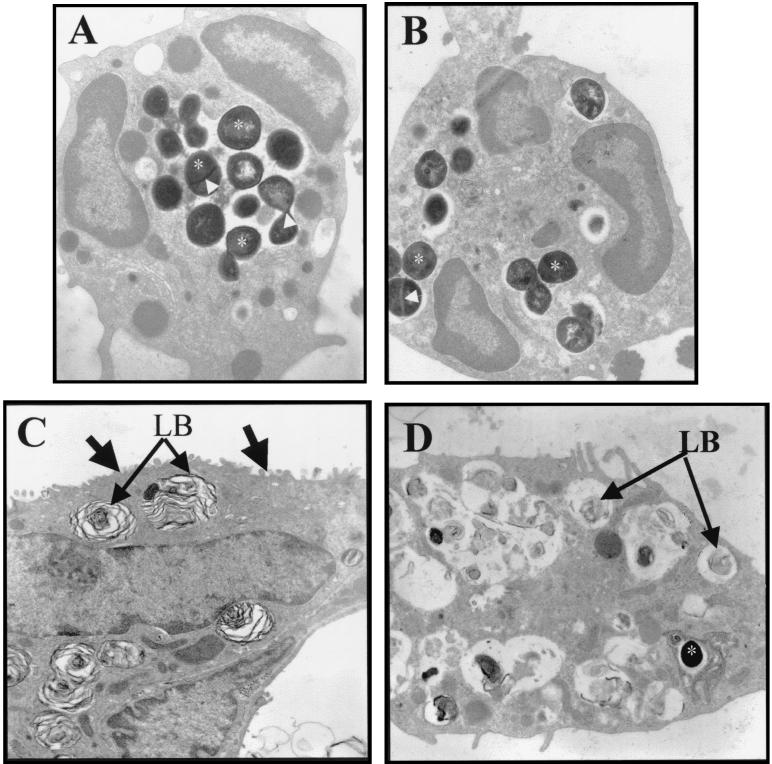 FIG. 8.