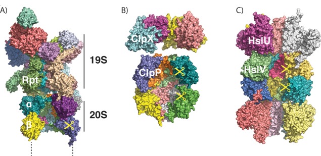 Figure 7