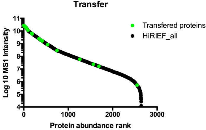 Figure 4—figure supplement 1.