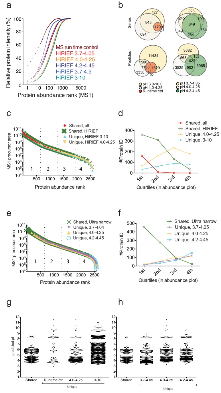 Figure 1—figure supplement 1.