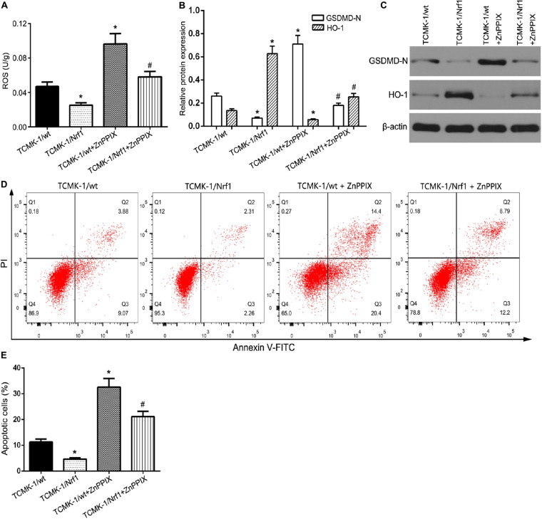 FIGURE 6