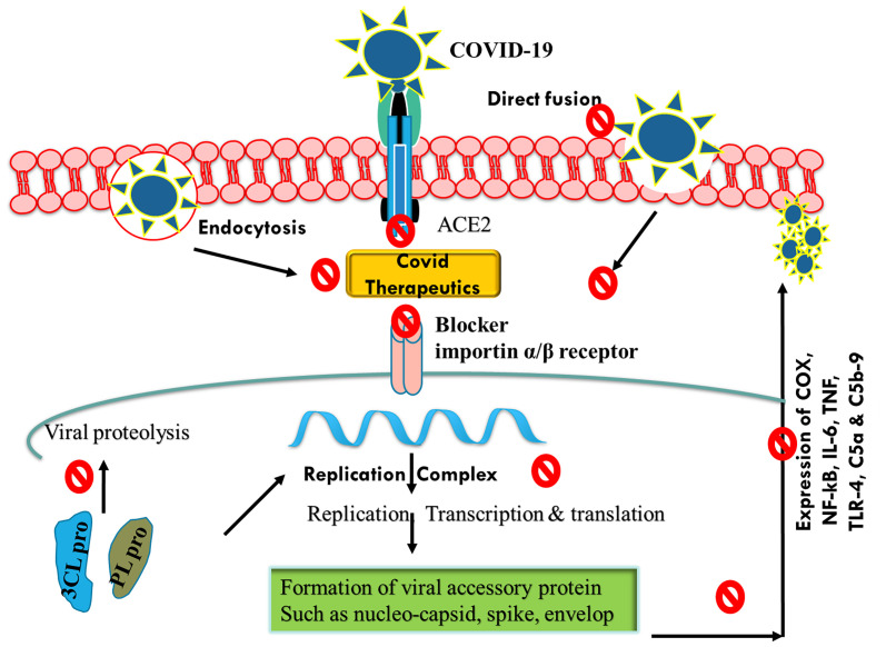 Figure 2