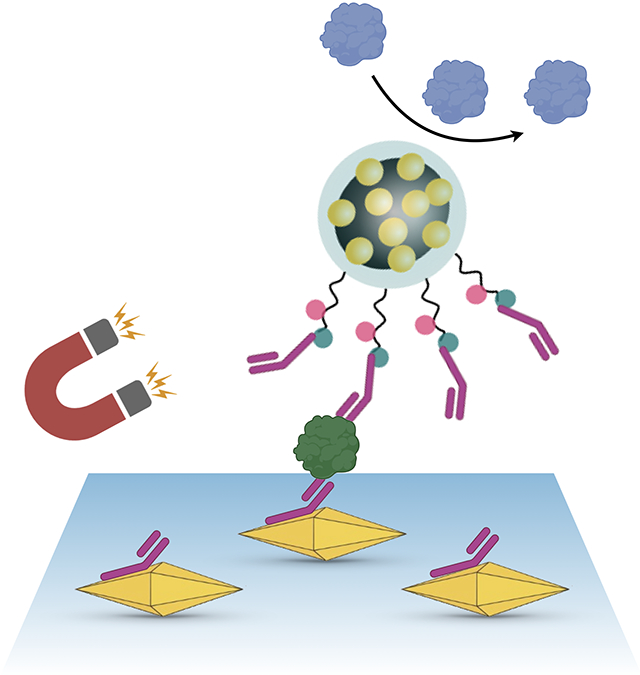 graphic file with name nihms-1757963-f0001.jpg