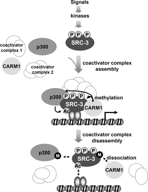 FIG. 7.