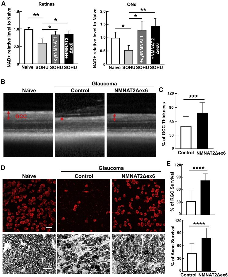 Figure 3