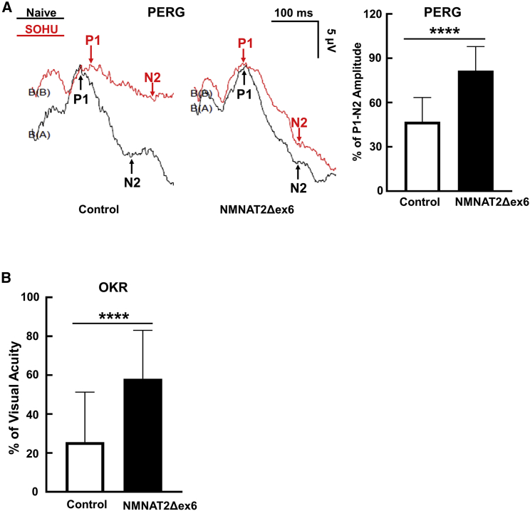 Figure 4