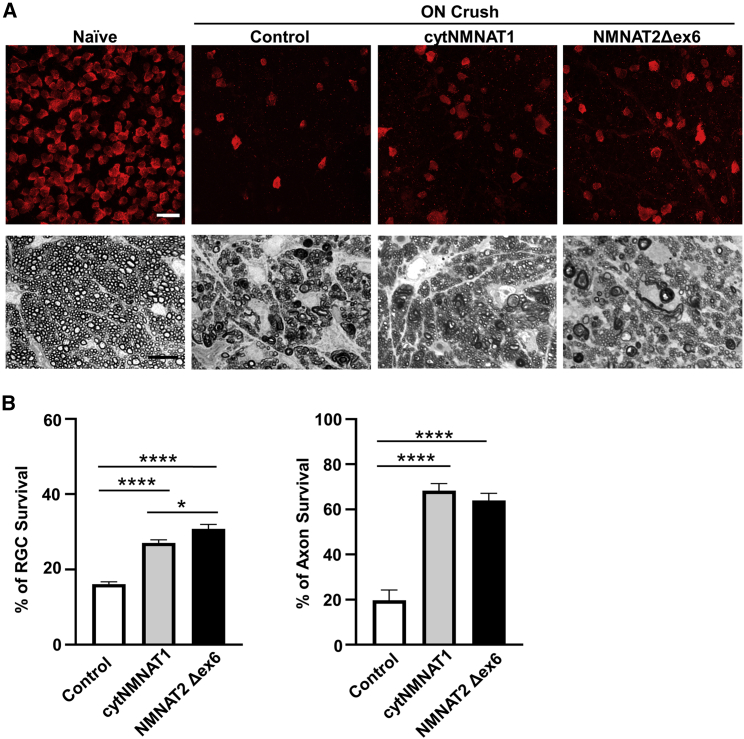 Figure 2